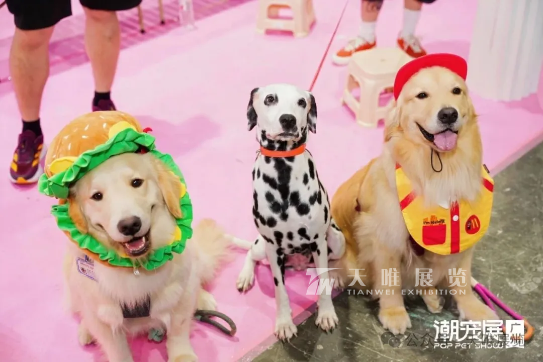 微信图片_20250530112543.png